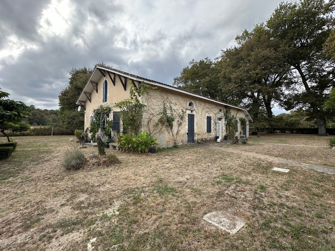 Country House in Escalans, Nouvelle-Aquitaine, France 5 - 16163705