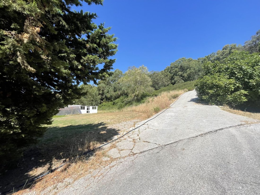 Land in Algeciras, Andalusia, Spain 5 - 16163828