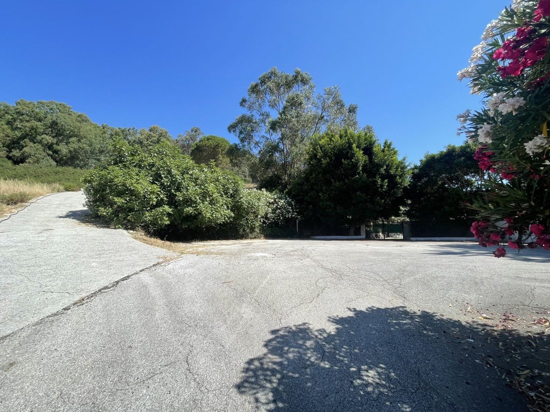 Land in Algeciras, Andalusia, Spain 4 - 16163828