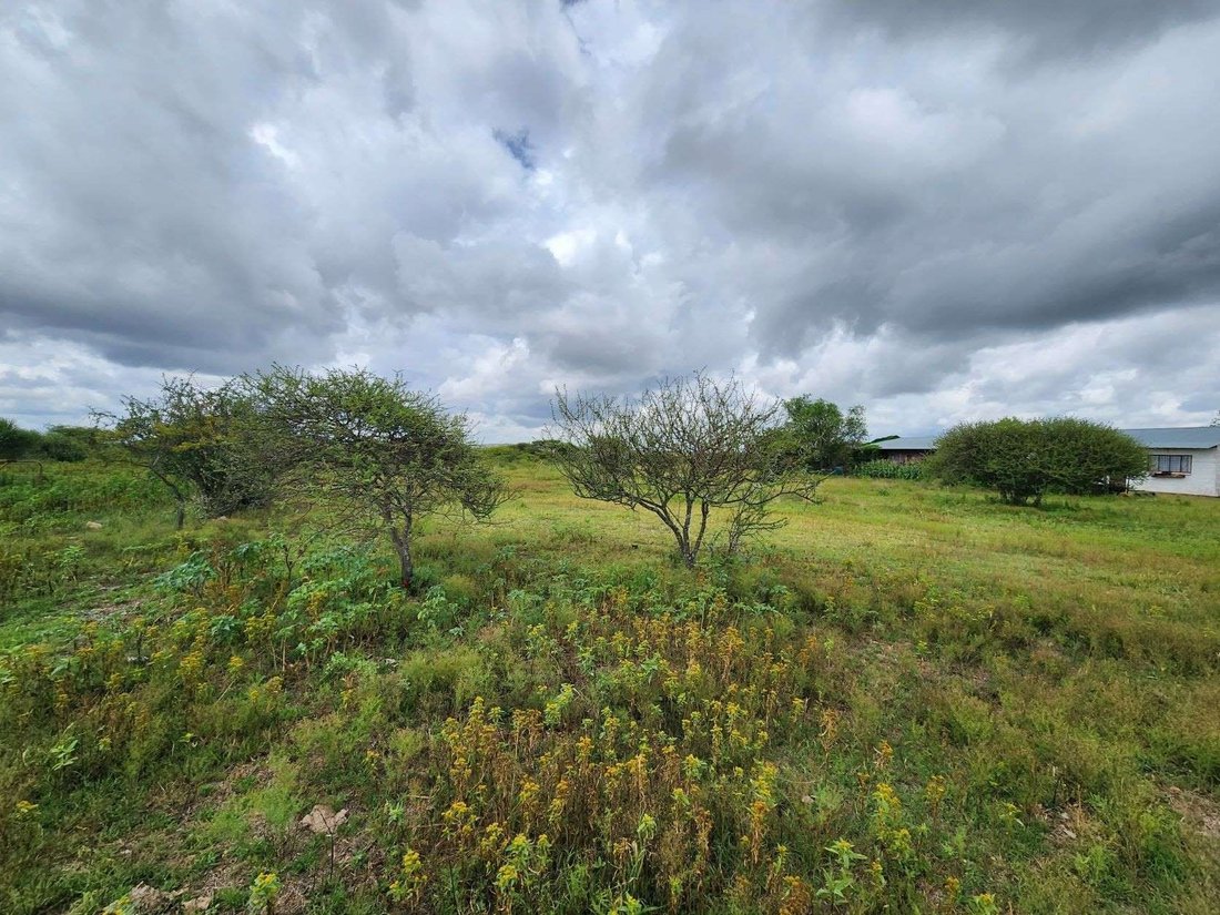 Estate in Seshego-A, Limpopo, South Africa 5 - 16163816
