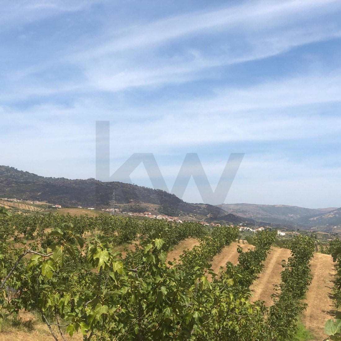 Land in Vila Flor e Nabo, Braganca District, Portugal 2 - 16162703