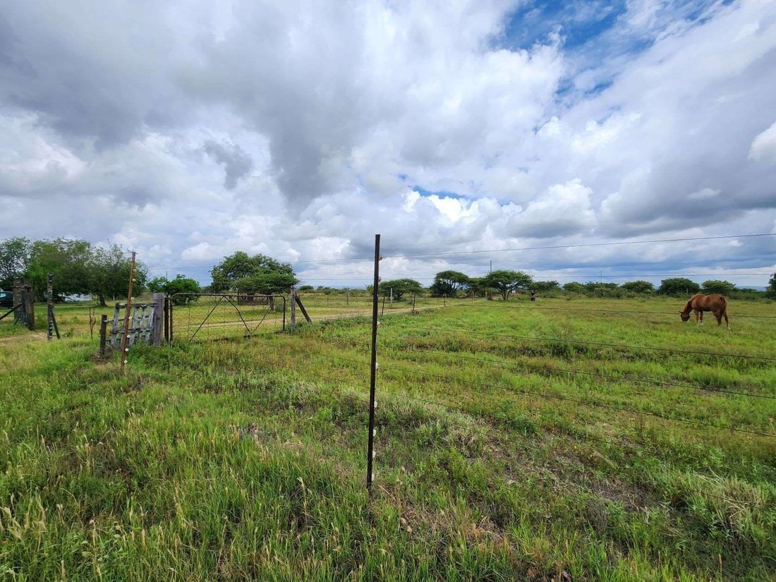 Estate in Seshego-A, Limpopo, South Africa 4 - 16163816