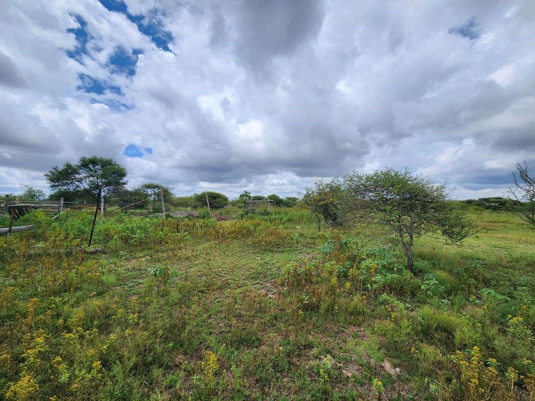 Estate in Seshego-A, Limpopo, South Africa 3 - 16163816