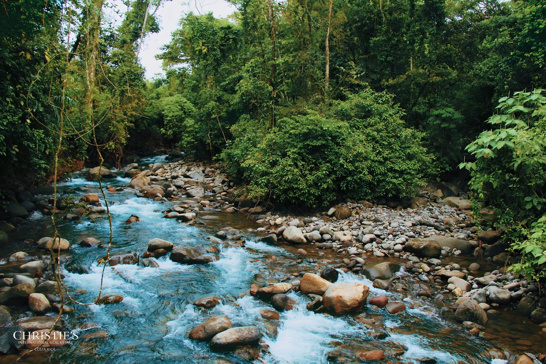 Land in Aguas Zarcas, Alajuela Province, Costa Rica 1 - 16162955