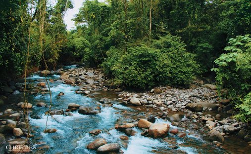 Terreno en Aguas Zarcas, Provincia de Alajuela, Costa Rica 1