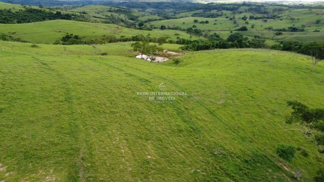 Farm Ranch in Álvaro de Carvalho, State of São Paulo, Brazil 1 - 16162682