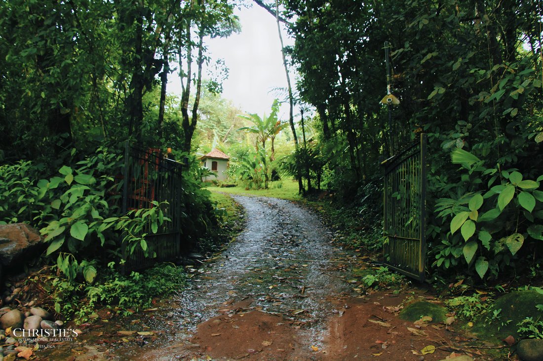Land in Aguas Zarcas, Alajuela Province, Costa Rica 3 - 16162955