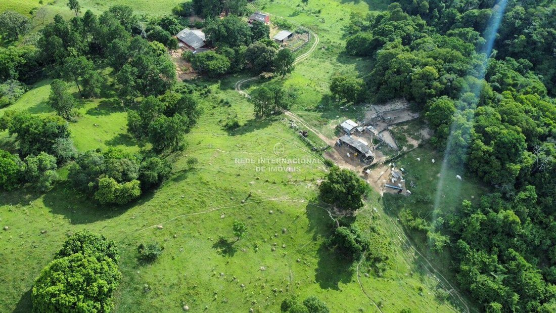 Farm Ranch in Aparecidinha, State of São Paulo, Brazil 1 - 16162743