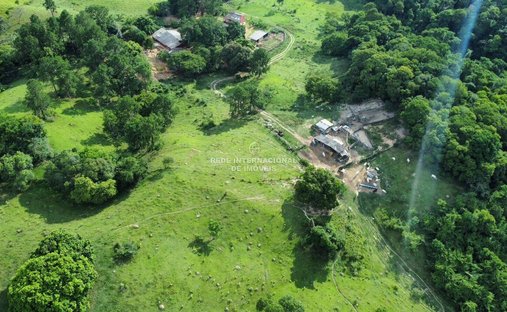 Farm Ranch in Aparecidinha, State of São Paulo, Brazil 1