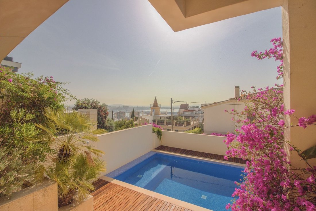 Villa in Palma, Balearic Islands, Spain 1 - 16163948