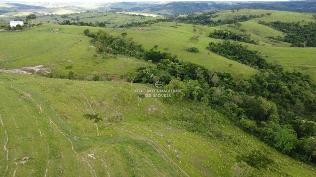 Farm Ranch in Álvaro de Carvalho, State of São Paulo, Brazil 4 - 16162682