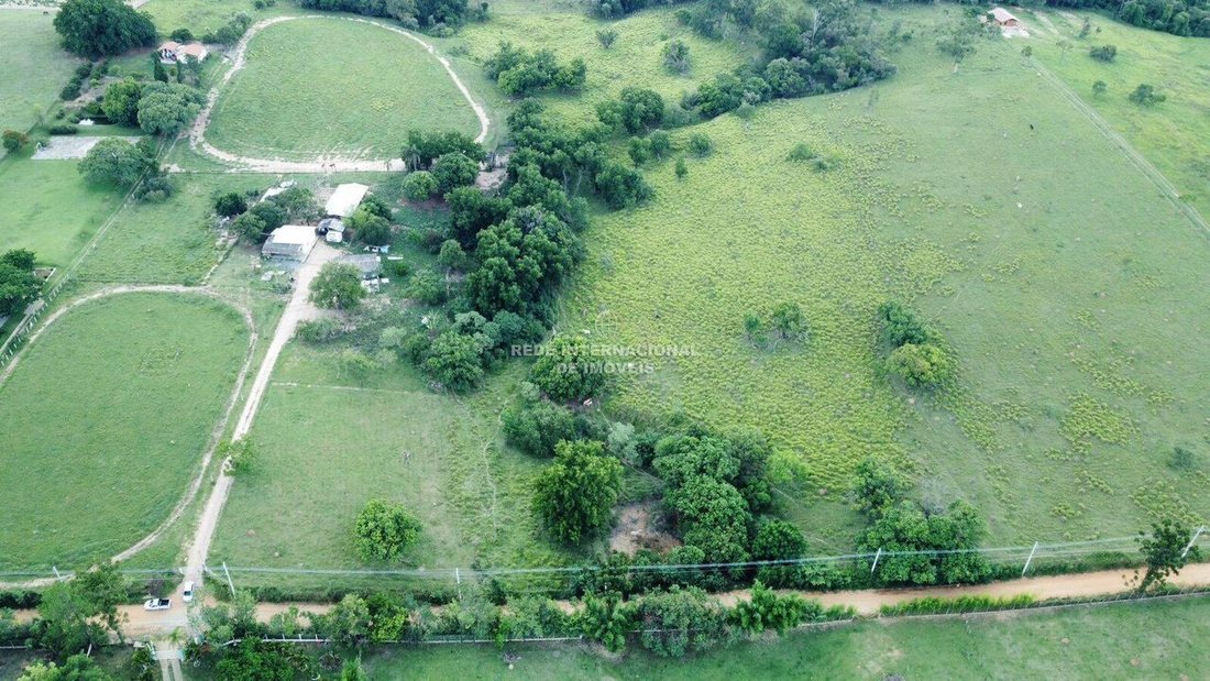 Corps de ferme à Aparecidinha, São Paulo, Brésil 4 - 16162740