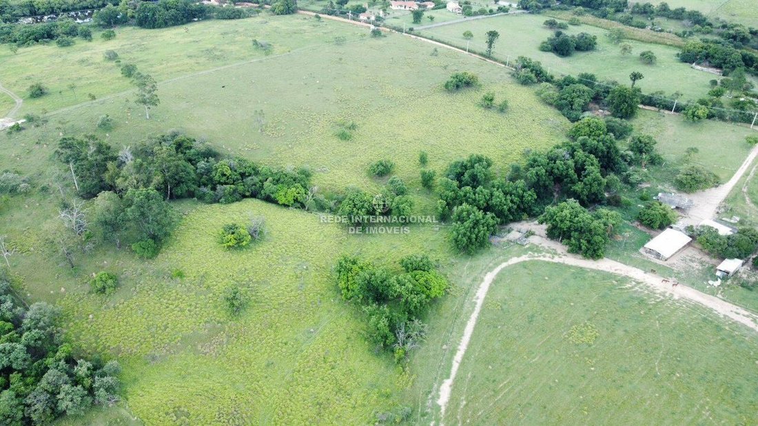 Corps de ferme à Aparecidinha, São Paulo, Brésil 2 - 16162740