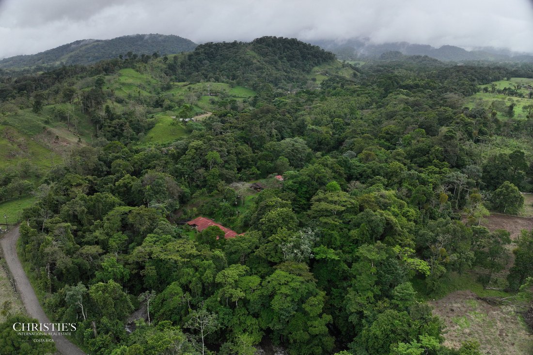 Land in Aguas Zarcas, Alajuela Province, Costa Rica 2 - 16162955