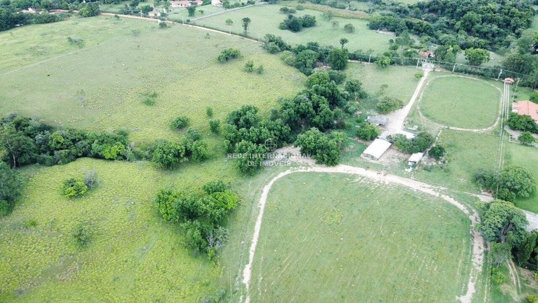 Corps de ferme à Aparecidinha, São Paulo, Brésil 1 - 16162740