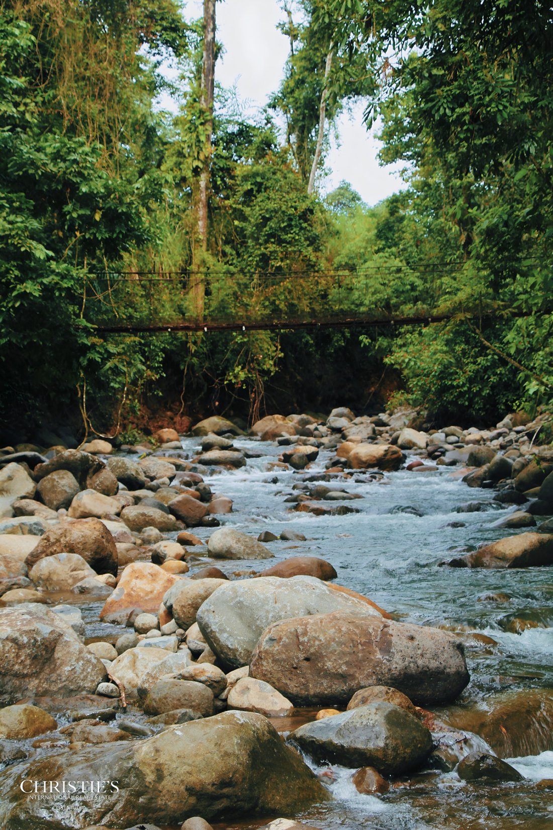 Land in Aguas Zarcas, Alajuela Province, Costa Rica 5 - 16162955