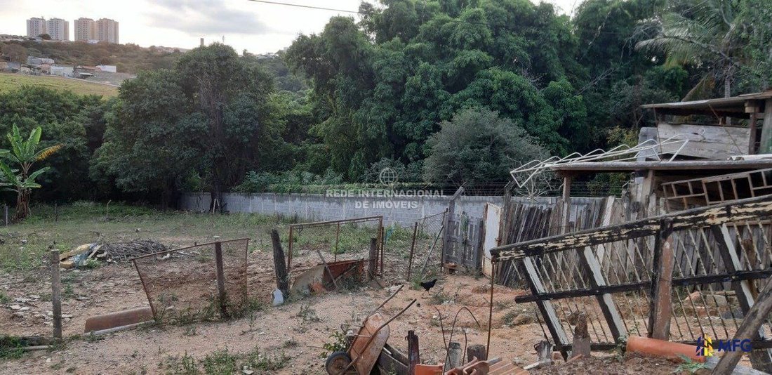 Farm Ranch in Jardim Simus, State of São Paulo, Brazil 5 - 16162592