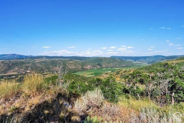 Kamas, Utah, United States 1 - 16164092