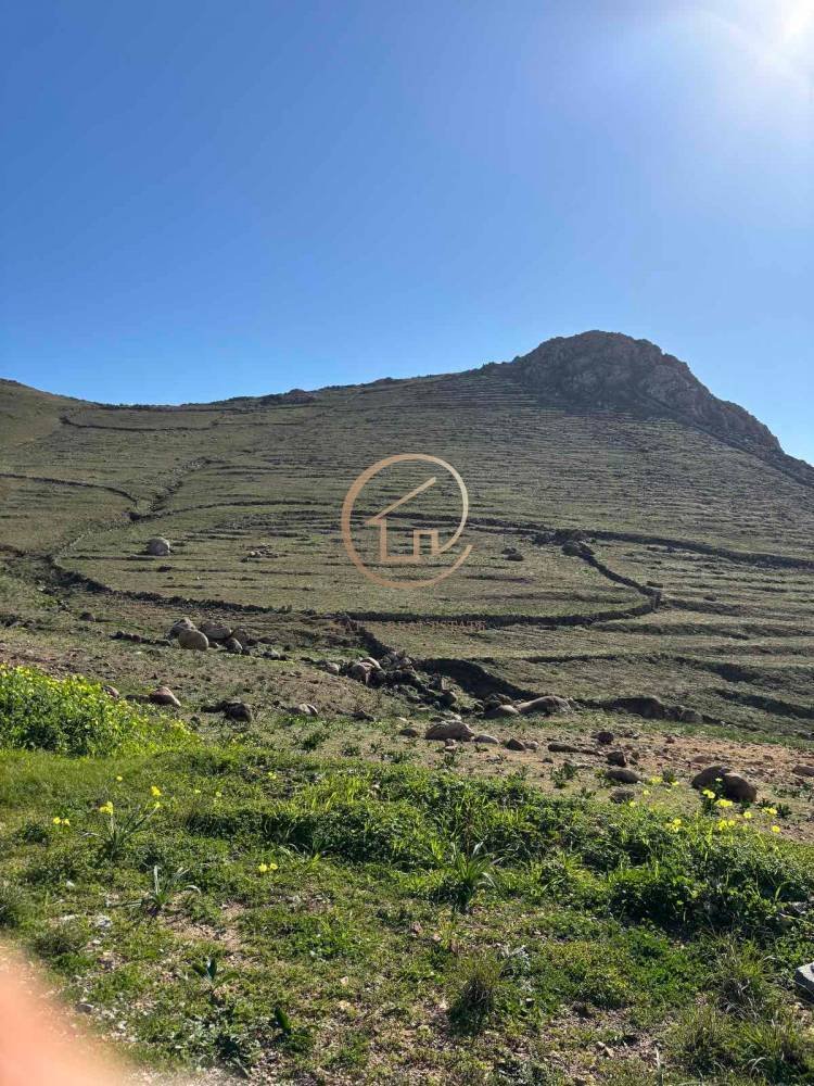 Land in Serifos, Aegean, Greece 4 - 16164543