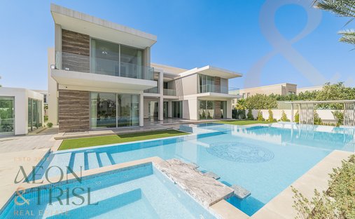Villa in Dubai, Dubai, United Arab Emirates 1