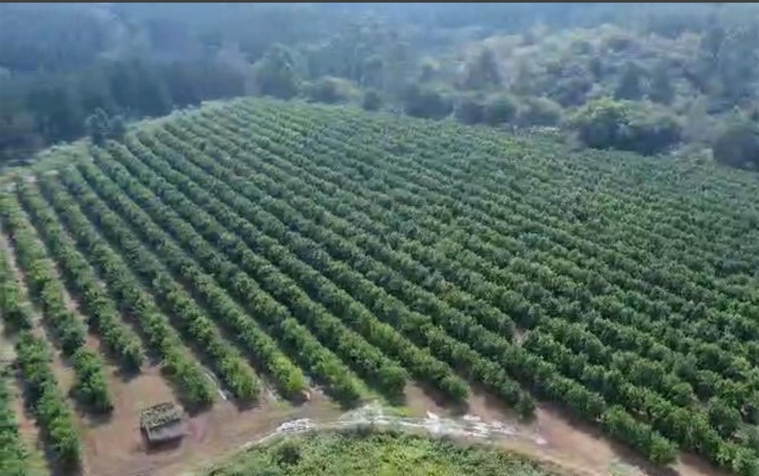 Farm Ranch in Mbombela, Mpumalanga, South Africa 2 - 16167320