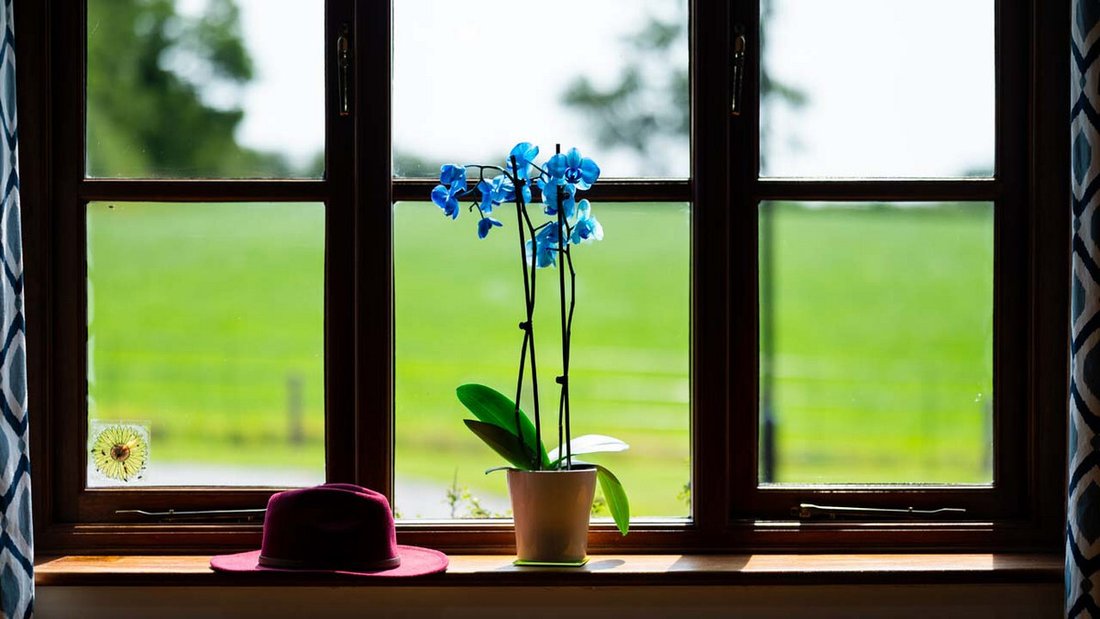 Farm Ranch in Tean, England 3 - 16166799