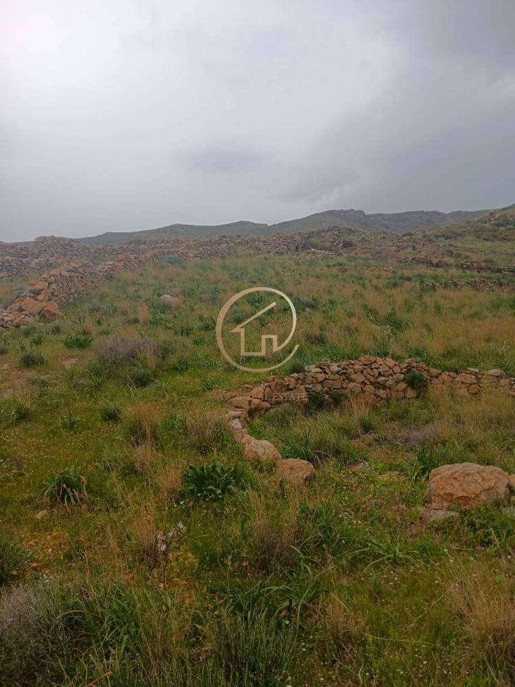 Land in Serifos, Aegean, Greece 4 - 16164530