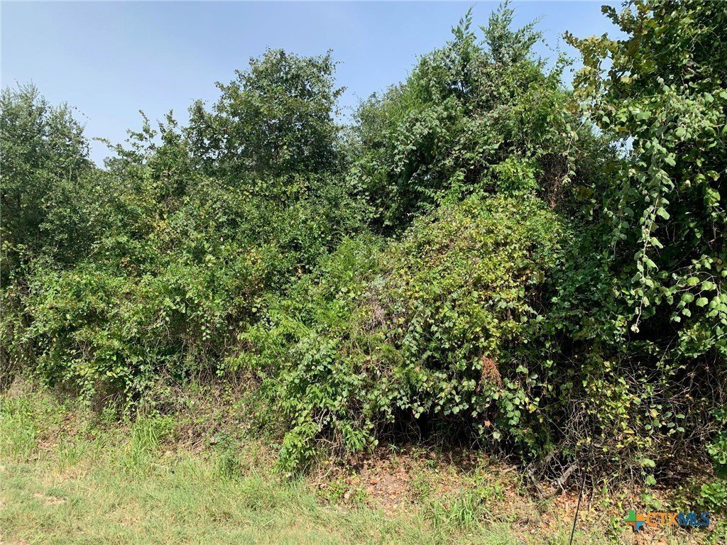 Land in Chilton, Texas, United States 5 - 16166069