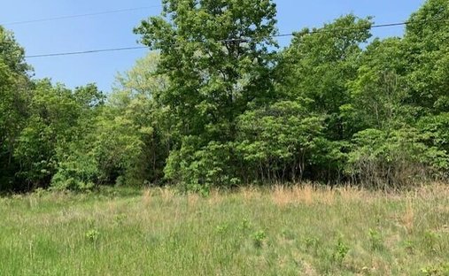 Land in Holland, Michigan, United States 1