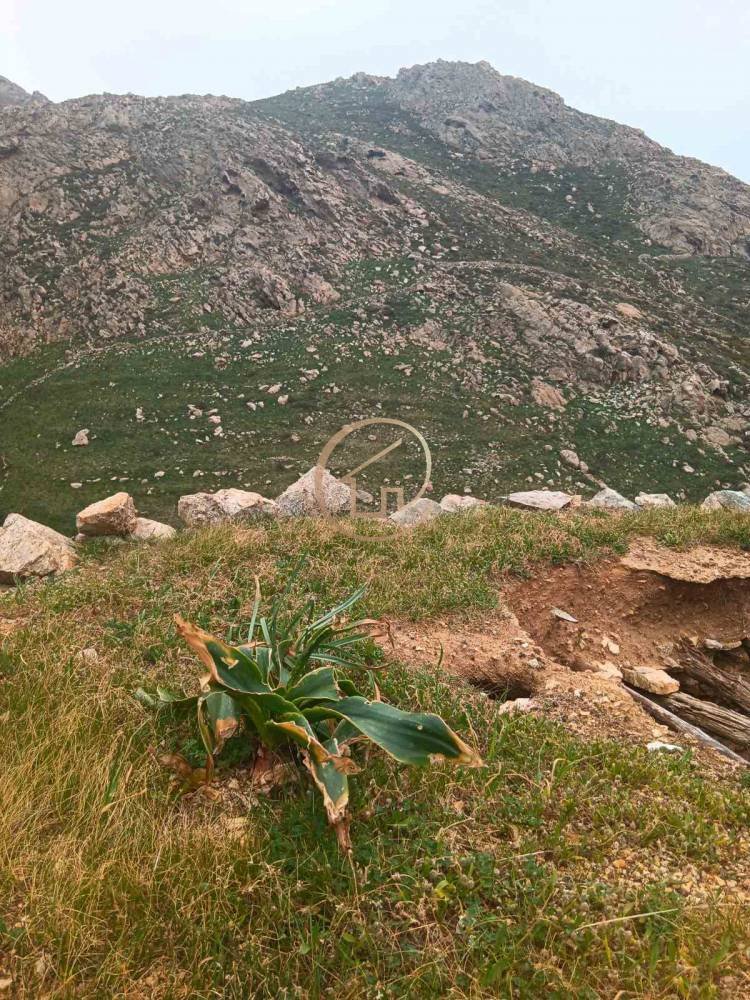 Land in Serifos, Aegean, Greece 5 - 16164530