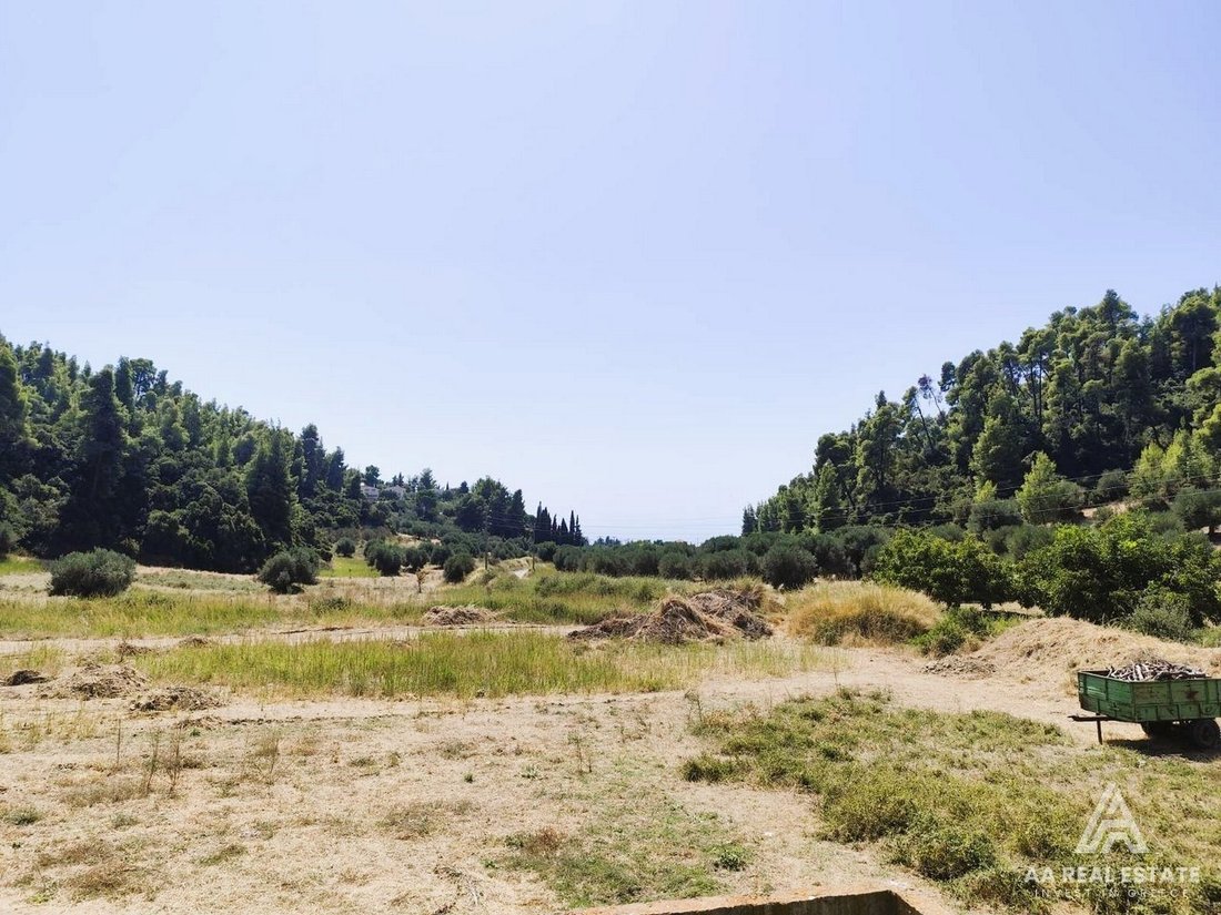Apartment in Pallini Municipal Unit, Macedonia and Thrace, Greece 5 - 16164673