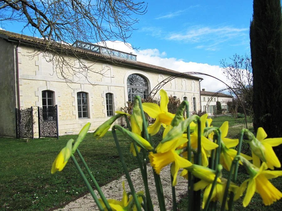 Country House in Mortagne-sur-Gironde, Nouvelle-Aquitaine, France 4 - 12969256
