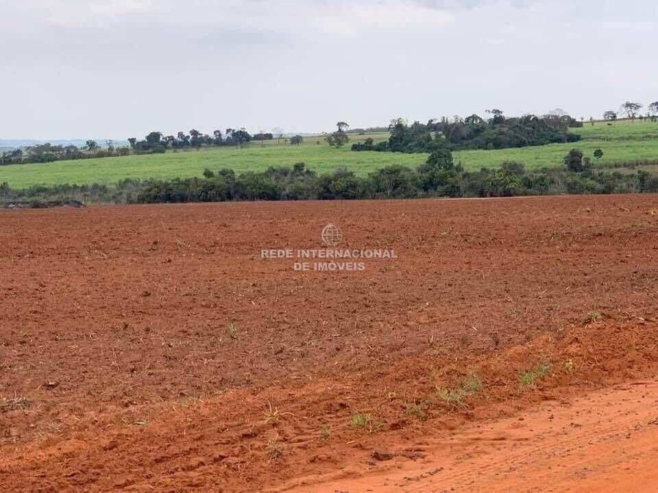 Farm Ranch in Estiva Gerbi, State of São Paulo, Brazil 4 - 16177733