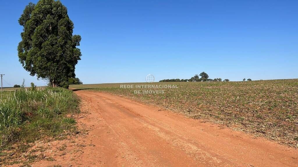 Farm Ranch in Rio de Janeiro, State of Rio de Janeiro, Brazil 4 - 16178477