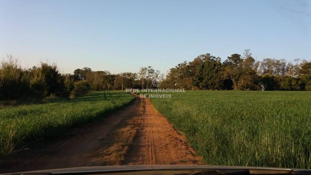 Farm Ranch in Itapetininga, State of São Paulo, Brazil 1 - 16178496