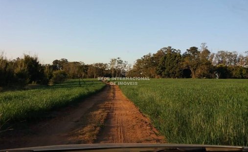 Farm Ranch in Itapetininga, State of São Paulo, Brazil 1