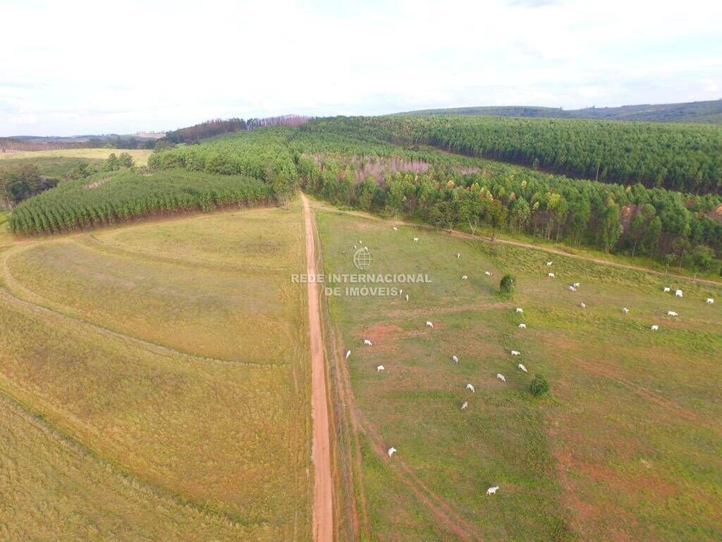 Farm Ranch in São José do Rio Preto, State of São Paulo, Brazil 2 - 16177839