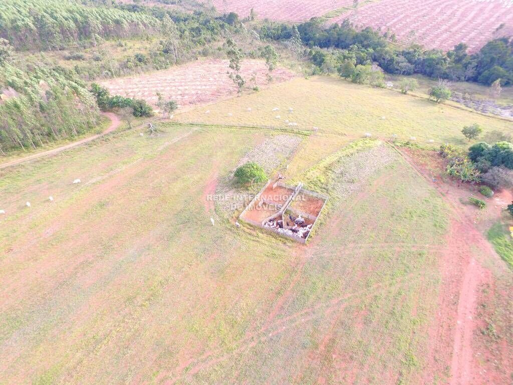 Farm Ranch in São José do Rio Preto, State of São Paulo, Brazil 3 - 16177839