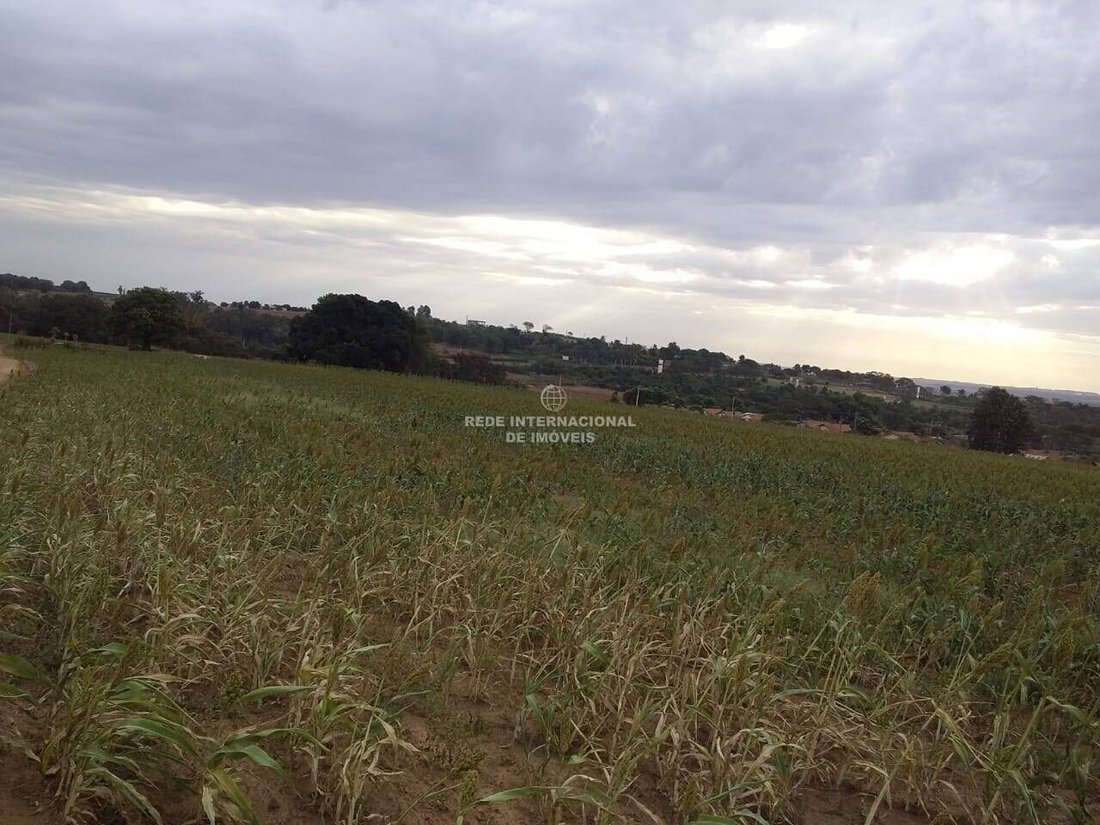 Farm Ranch in Rio de Janeiro, State of Rio de Janeiro, Brazil 4 - 16177816