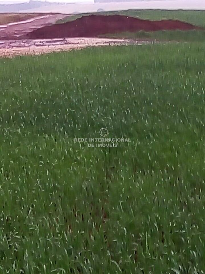 Farm Ranch in Itapeva, State of São Paulo, Brazil 5 - 16178516