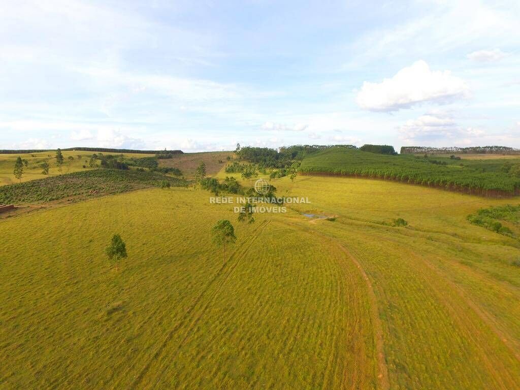 Farm Ranch in São José do Rio Preto, State of São Paulo, Brazil 1 - 16177839