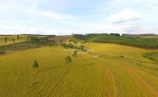 Farm Ranch in São José do Rio Preto, State of São Paulo, Brazil 1