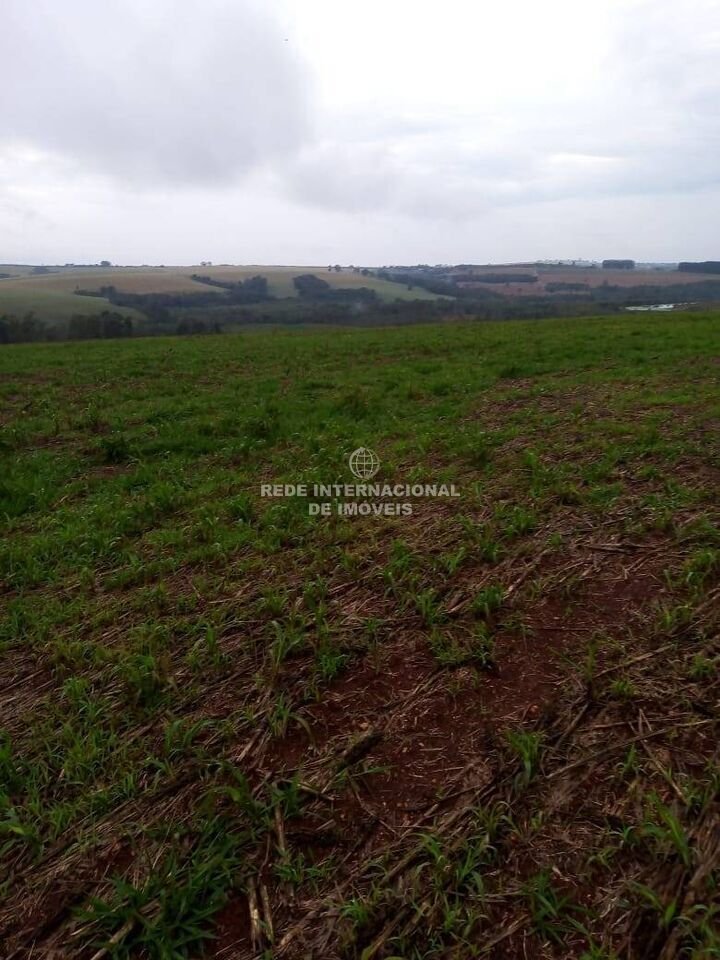 Farm Ranch in Itapeva, State of São Paulo, Brazil 2 - 16178516