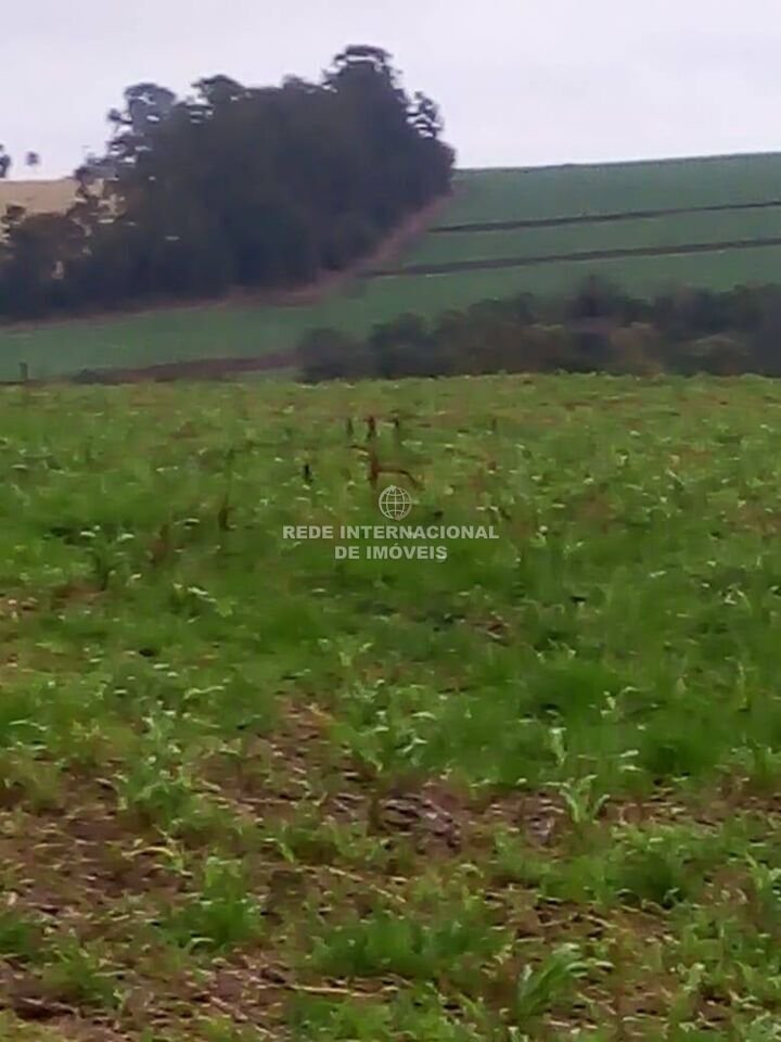 Farm Ranch in Itapeva, State of São Paulo, Brazil 3 - 16178516