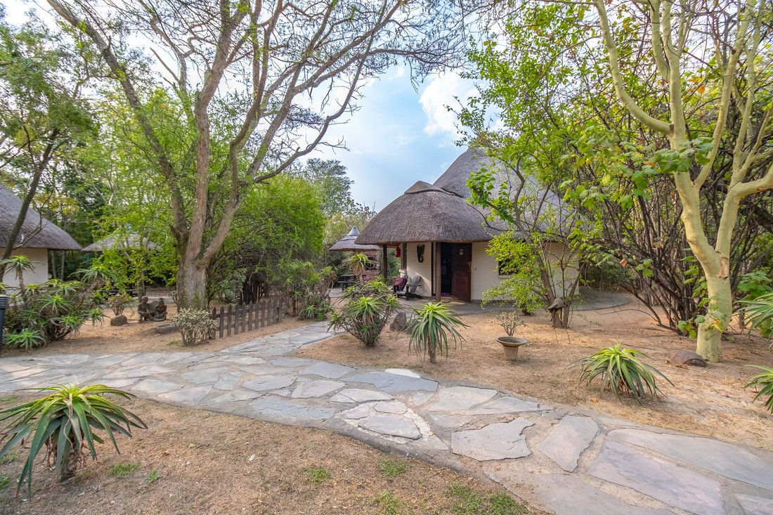 Northern Farm, Gauteng, South Africa 4 - 16171492