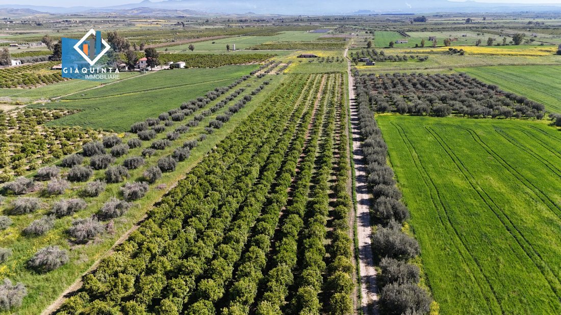 Land in Ramacca, Sicily, Italy 4 - 16179508