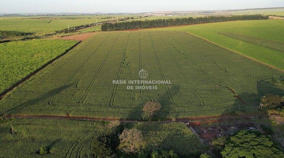 Farm Ranch in Rio de Janeiro, State of Rio de Janeiro, Brazil 2 - 16178493