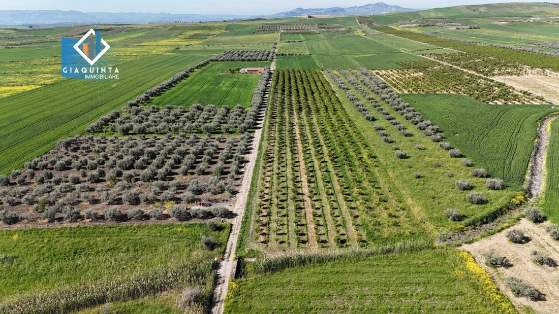 Land in Ramacca, Sicily, Italy 2 - 16179508