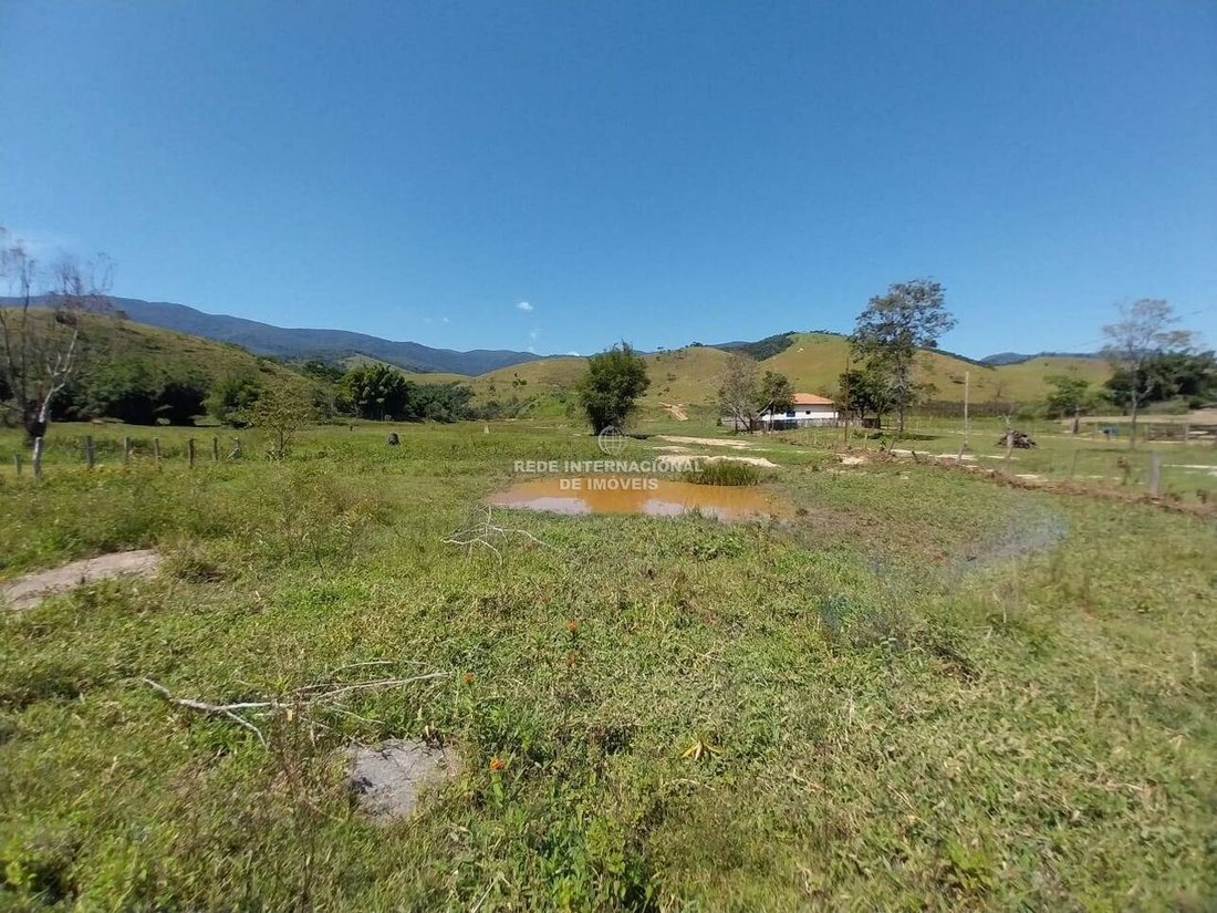 Farm Ranch in Roseira, State of São Paulo, Brazil 5 - 16178410