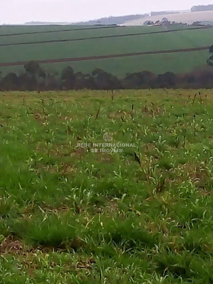 Farm Ranch in Itapeva, State of São Paulo, Brazil 1 - 16178516